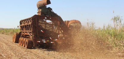 Estiagem de 2021 não deve atrasar início da safra canavieira 2022/23