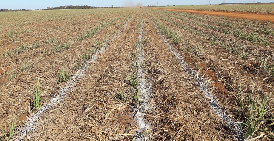 Insumos agrícolas cada vez mais são cobiçados pelos ladrões