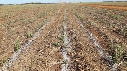 Possível escassez e preços valorizados dos insumos agrícolas aumentam risco de assalto em propriedades rurais