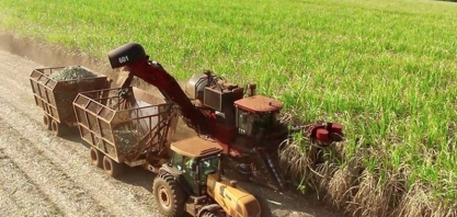 Moagem se aproxima das 17 mi de toneladas de cana processadas