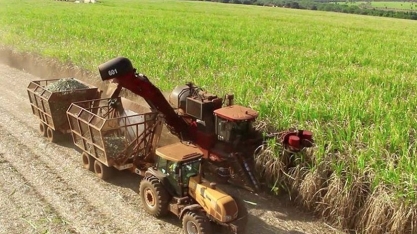 Moagem se aproxima das 17 mi de toneladas de cana processadas