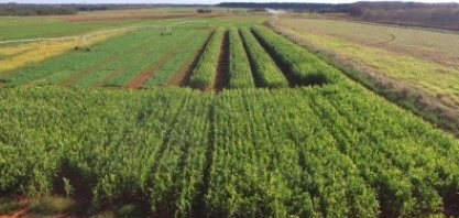 Manejo e novos insumos ajudam a reduzir o uso de fertilizantes minerais na agricultura brasileira