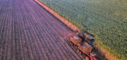  Estratégias para aumentar a rentabilidade da cana-de-açúcar