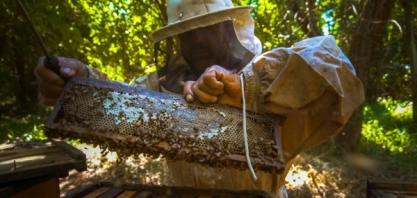 Desconstruindo preconceitos: a sustentabilidade do setor
