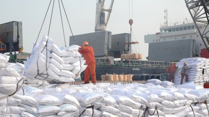 Governo quer cortar tributo de frete para reduzir custo de combustíveis e fertilizantes