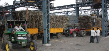 Exportações de açúcar da Índia aceleram com alta dos preços globais e rúpia fraca