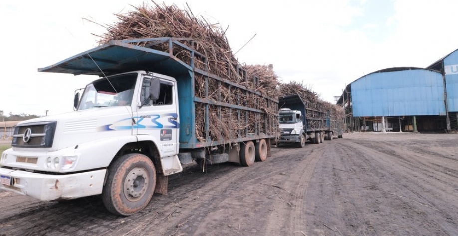 Assessoria - Foto: Reprodução