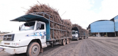 Consecana- AL/SE : ATR tem variação negativa de 10,4% em fevereiro