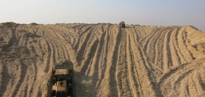 Queima do bagaço e da palha de cana gera em MS mais energia do que consumo residencial do estado