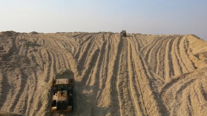 Queima do bagaço e da palha de cana gera em MS mais energia do que consumo residencial do estado