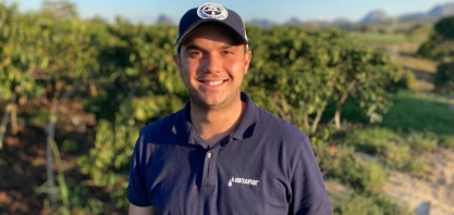 Irrigação auxilia no aumento de produtividade no cultivo protegido