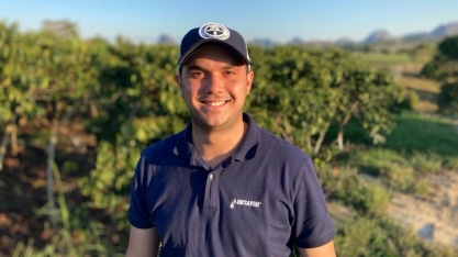 Irrigação auxilia no aumento de produtividade no cultivo protegido