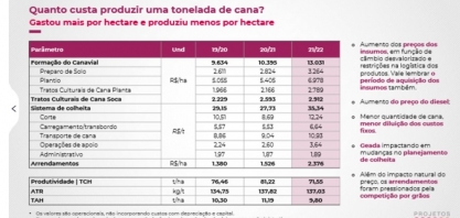 Custo de formação de canavial chega a R$ 15 mil por hectare em 2022/23