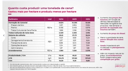 Custo de formação de canavial chega a R$ 15 mil por hectare em 2022/23