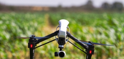 Drones e inteligência artificial substituem seres humanos em nova metodologia que analisa maturação de lavoura de amendoim