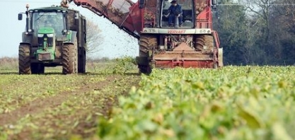 Projeto energético anunciado pela Comissão Europeia anima setor de açúcar