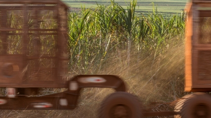 Na Copersucar, o Dia da Água é sempre celebrado