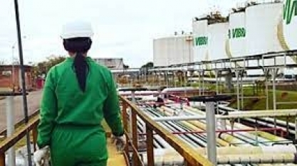 Vibra alerta para que proposta de fundo sobre combustíveis não vire controle de margem