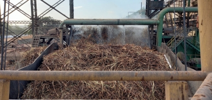 Coperativa no Vale do Satuba bate recorde de produção na safra de cana-de-açúcar