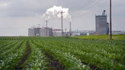 Produtores dos EUA celebram taxa de importação de etanol zerada pelo Brasil