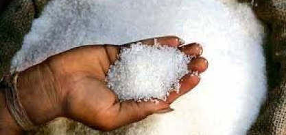 Rumores de que a Índia vai limitar exportações impulsionam cotações do açúcar