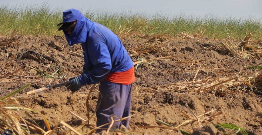 Divulgação - Foto: Assessoria