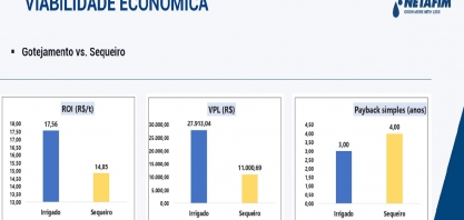 Veja como a irrigação por gotejamento pode alavancar a rentabilidade do seu canavial