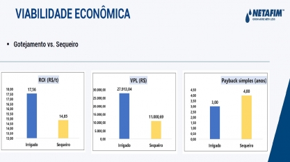 Veja como a irrigação por gotejamento pode alavancar a rentabilidade do seu canavial