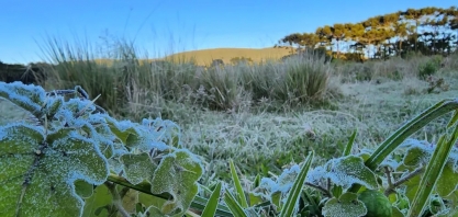 SC registra primeira temperatura negativa de 2022 e geada