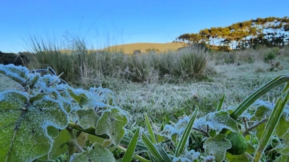 SC registra primeira temperatura negativa de 2022 e geada