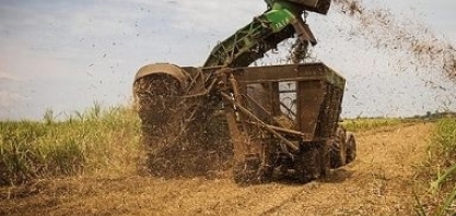 Safra mineira 2021/2022 encerra com moagem de 64,04 mi/ton de cana