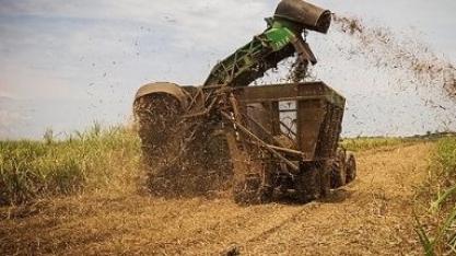 Safra mineira 2021/2022 encerra com moagem de 64,04 mi/ton de cana