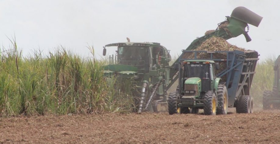 Das 15 unidades da agroindústria canavieira do Estado, apenas a Sumaúma ainda não encerrou a moagem - Foto: BCCOM Comunicação