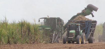 Safra 21/22: apenas a usina Sumaúma segue com a moagem