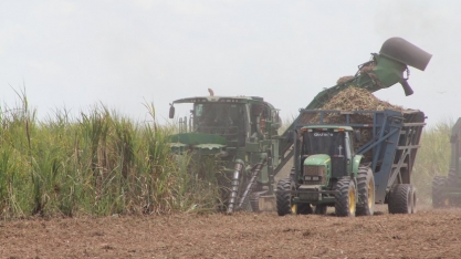 Safra 21/22: apenas a usina Sumaúma segue com a moagem