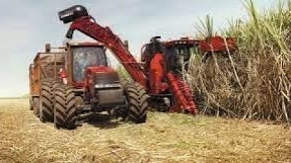 Cana: Safra 2021/22 deve ser de 568,4 mi de t, -13,2% do que safra anterior