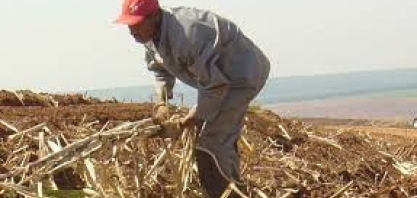 Crédito rural: linhas do plano safra estão suspensas, com R$ 24,7 bi congelados