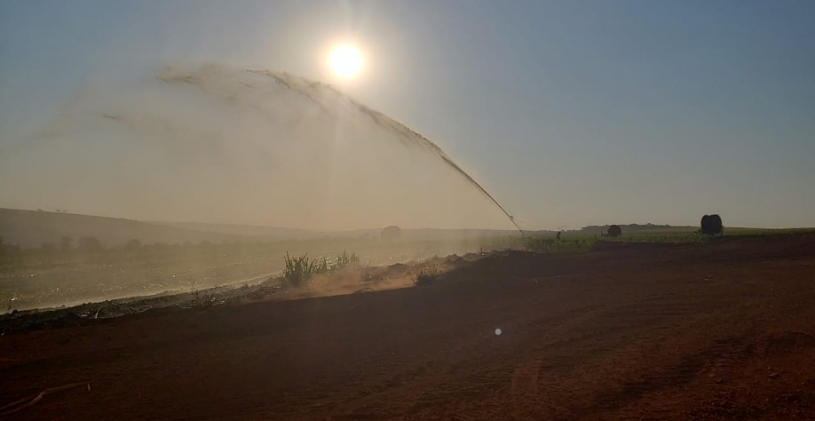  A vinhaça é um dos co-produtos da cana utilizados pela Raízen como fertilizante orgânico