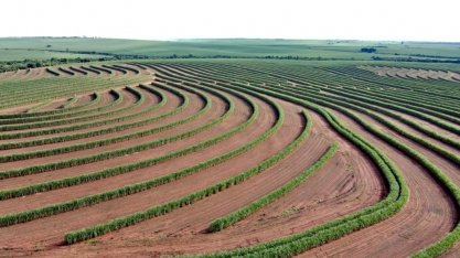 Usina Atena transforma os canaviais em obra de arte