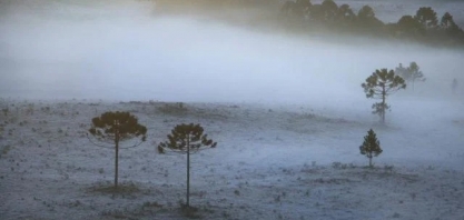 Alerta: massa de ar polar pode provocar geada em áreas do Sul no feriadão