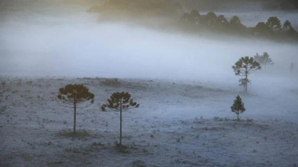 Alerta: massa de ar polar pode provocar geada em áreas do Sul no feriadão