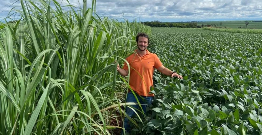 Na fazenda do produtor rural Eduardo Benedetti, a soja começa aparecer ao lado da cana-de-açúcar — Foto: Eduardo Benedetti/Arquivo Pessoal