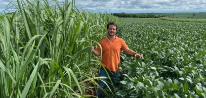 Cultivo da soja em Morro Agudo, SP, cresce em áreas antes dominadas pela cana-de-açúcar; entenda