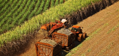 Moagem atinge 5,19 milhões de toneladas na primeira quinzena de abril