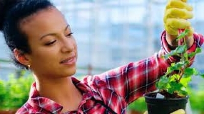 Corteva Agriscience abre 53 novas vagas para estágio 100% focadas em diversidade