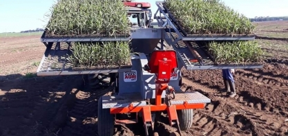 Agrishow 2022: Transplantadora de MPBs garante pegamento “perfeito”