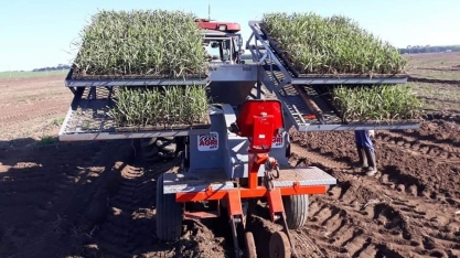 Agrishow 2022: Transplantadora de MPBs garante pegamento “perfeito”