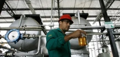 Produção de biodiesel gera 20 mil empregos formais em 2021