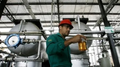 Produção de biodiesel gera 20 mil empregos formais em 2021