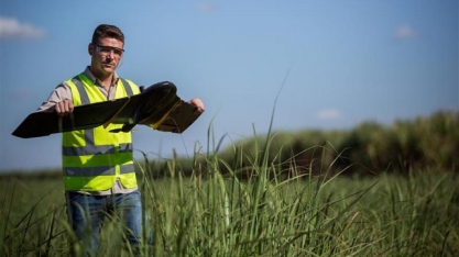 Tereos cria área para intensificar acompanhamento diário em seus canaviais e abre 16 novas vagas